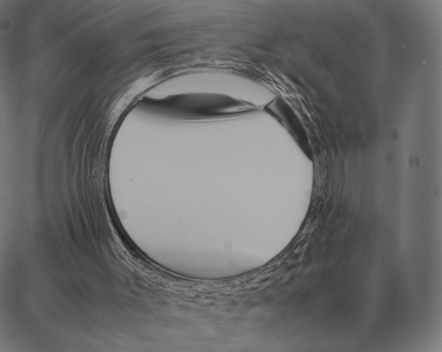 X0000087360003200705181203