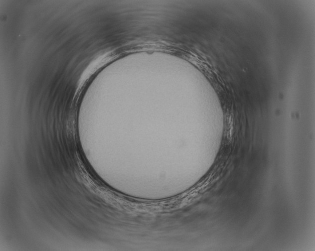 X0000087360004200705181203