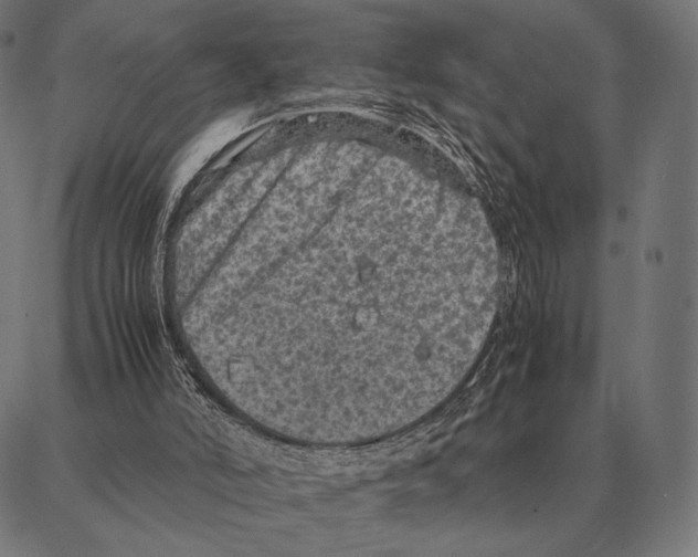 X0000087360006200705181203