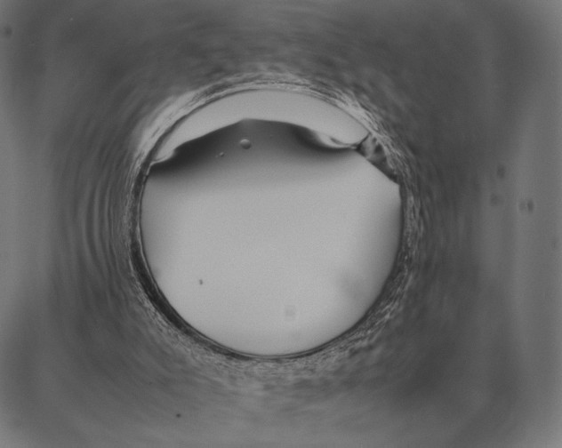 X0000087360007200705181203