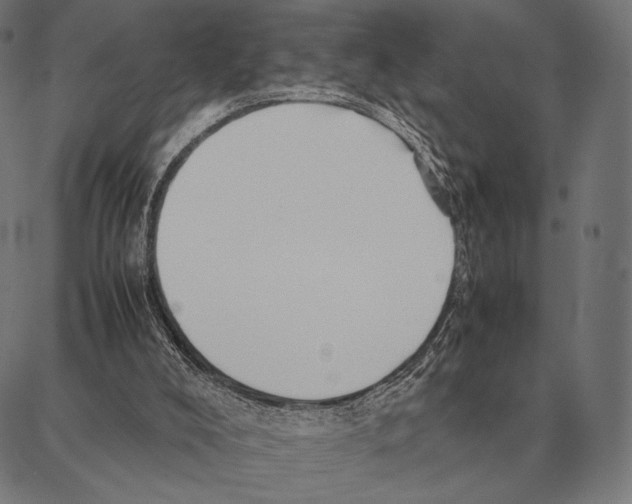 X0000087360008200705181203