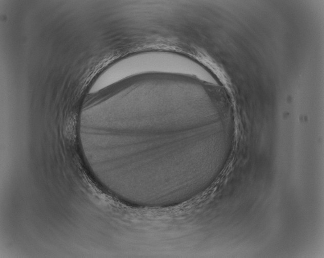 X0000087360009200705181203