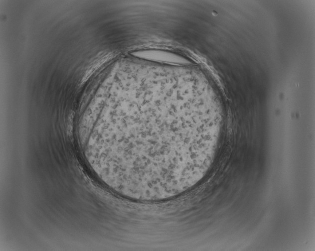 X0000087360010200705181203