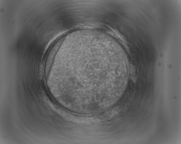 X0000087360012200705181203