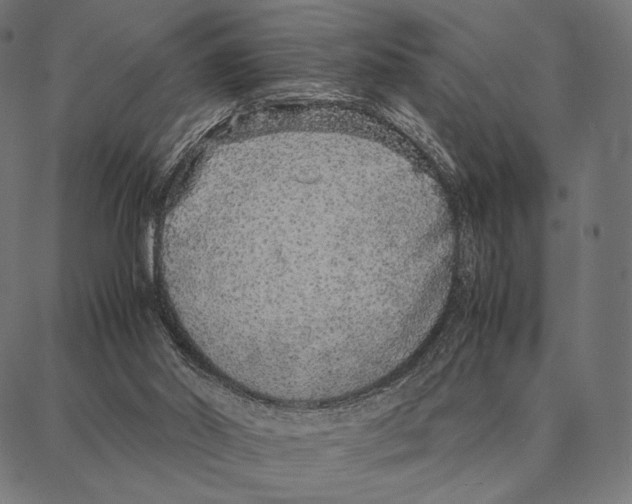 X0000087360014200705181203