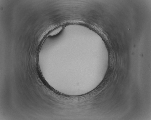 X0000087360015200705181203