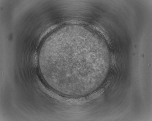 X0000087360016200705181203