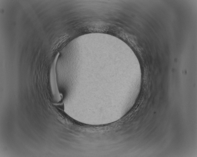 X0000087360017200705181203