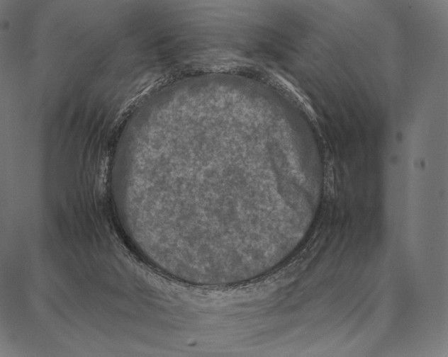 X0000087360018200705181203