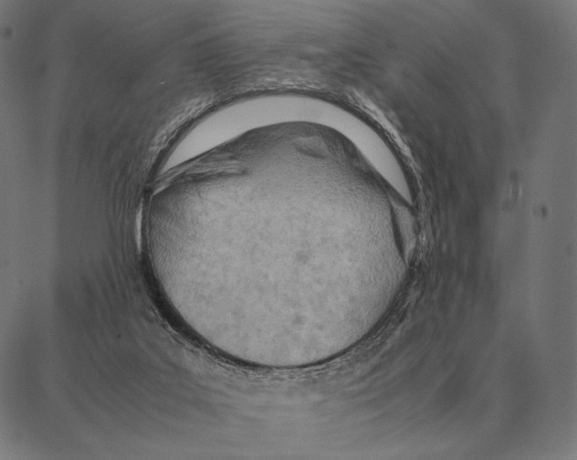 X0000087360019200705181203