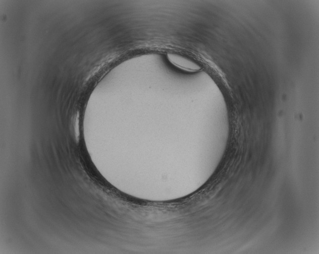 X0000087360020200705181203