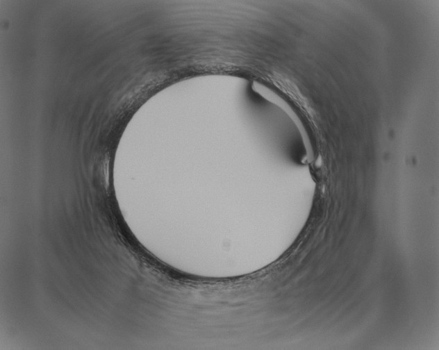 X0000087360021200705181203