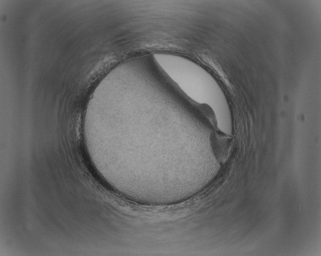 X0000087360023200705181203