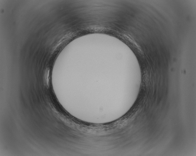 X0000087360024200705181203