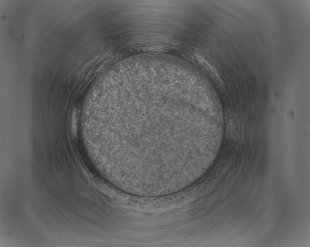 X0000087360026200705181203