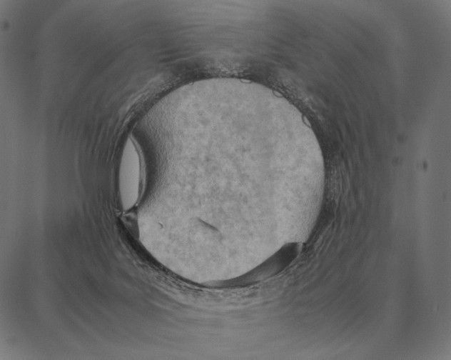 X0000087360027200705181203