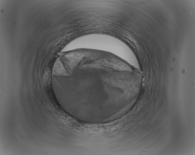 X0000087360029200705181203