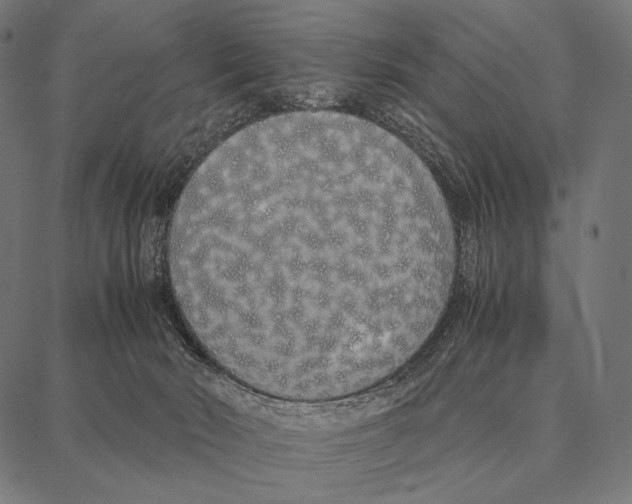 X0000087360030200705181203