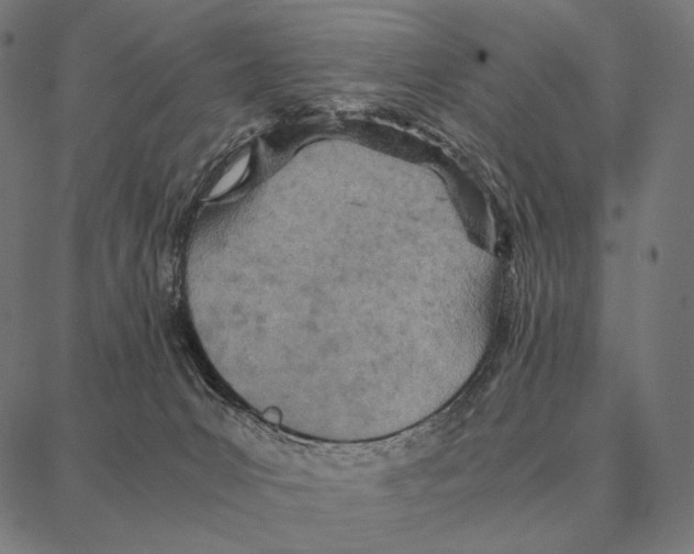 X0000087360031200705181203