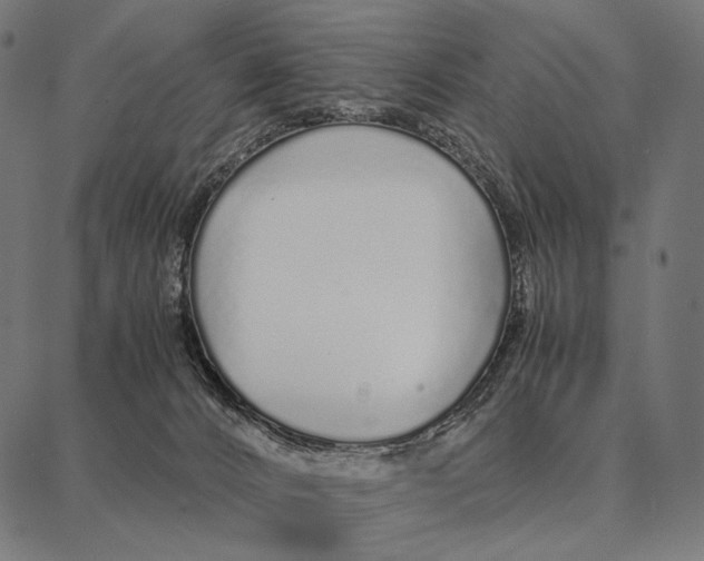 X0000087360032200705181202