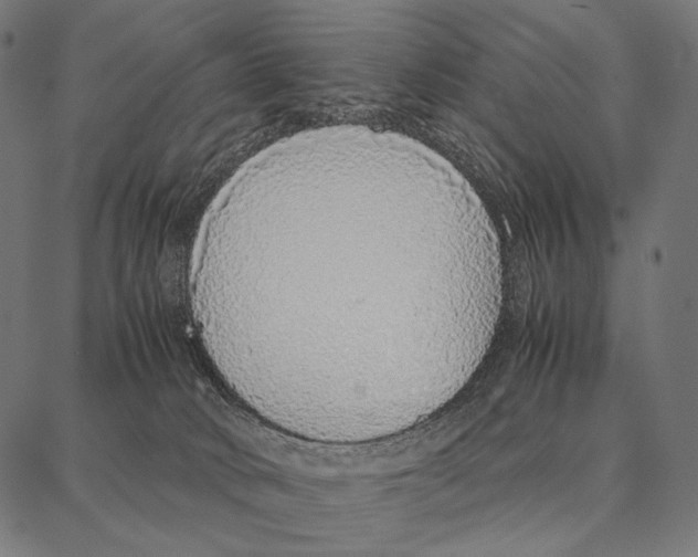 X0000087360034200705181202