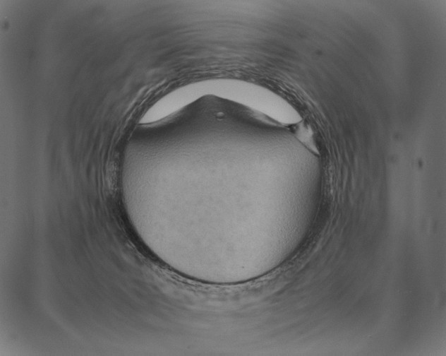 X0000087360035200705181202