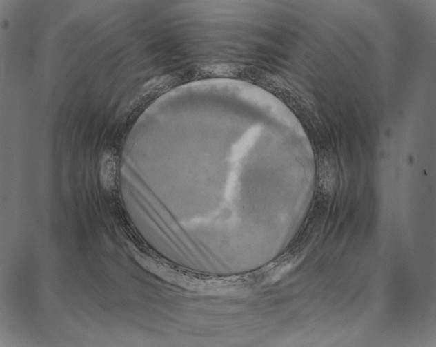 X0000087360036200705181202