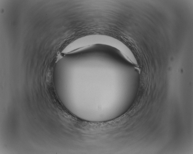 X0000087360037200705181202