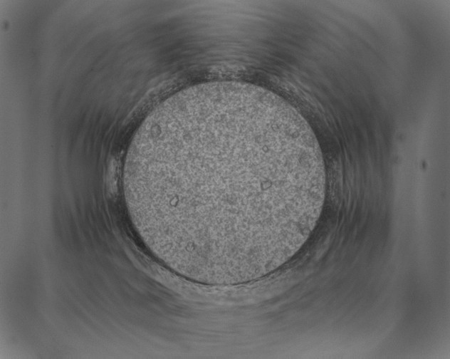 X0000087360038200705181202