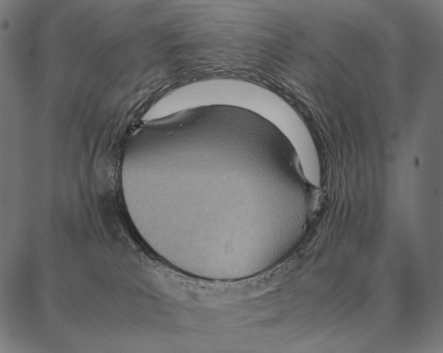 X0000087360039200705181202