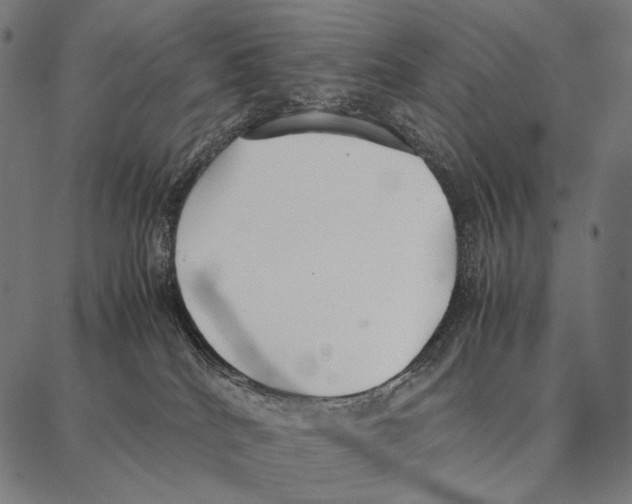 X0000087360040200705181202