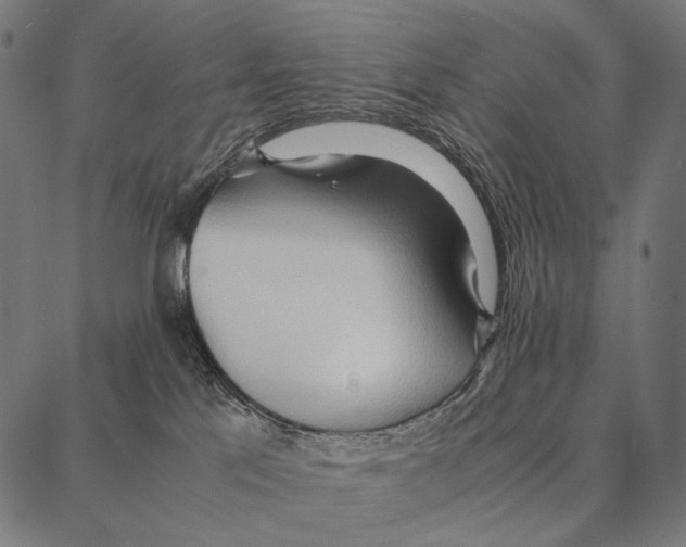 X0000087360041200705181202