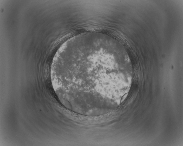 X0000087360043200705181202