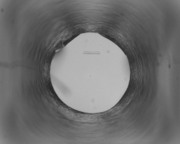 X0000087360044200705181202