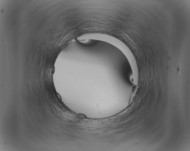 X0000087360045200705181202