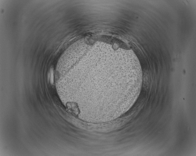 X0000087360046200705181202