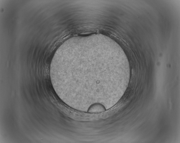 X0000087360048200705181202