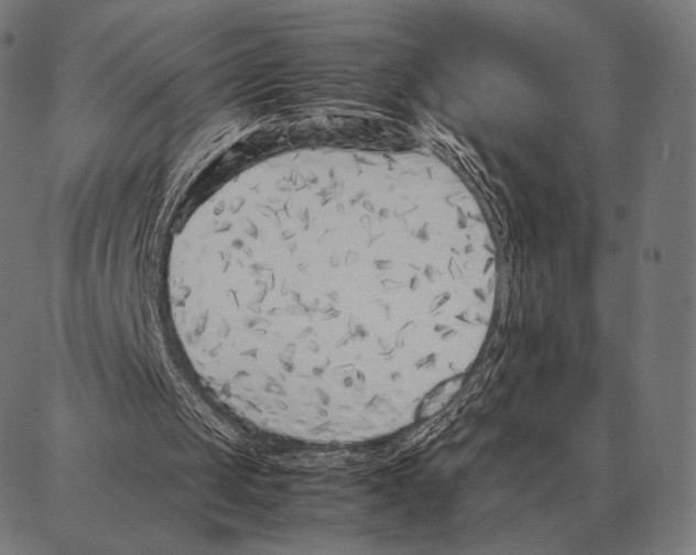 X0000087360049200705181201