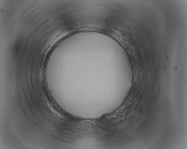 X0000087360050200705181201