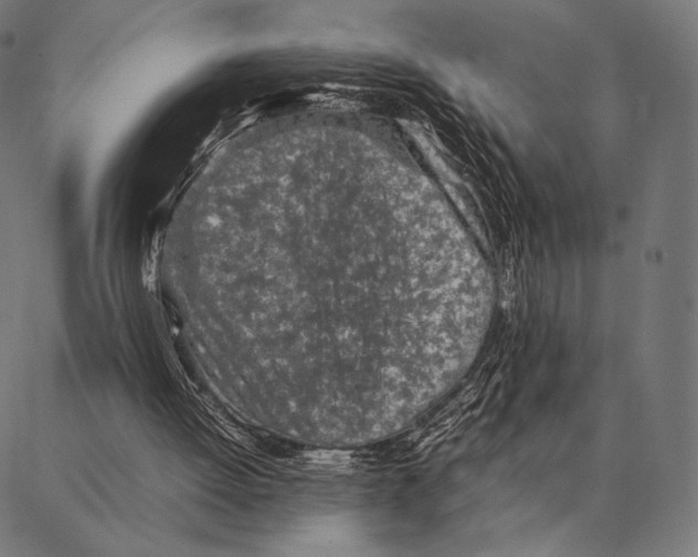 X0000087360052200705181201