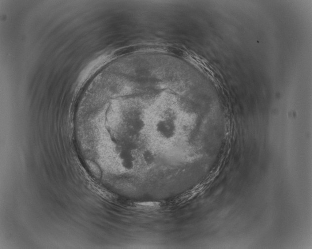 X0000087360053200705181202