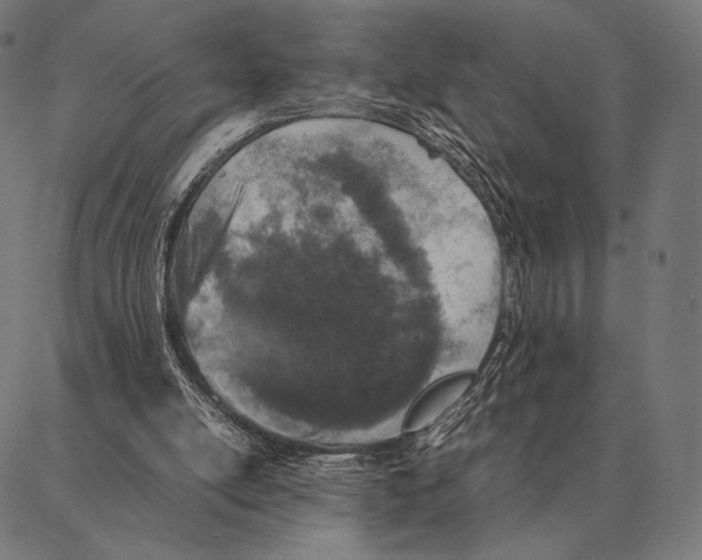 X0000087360054200705181202