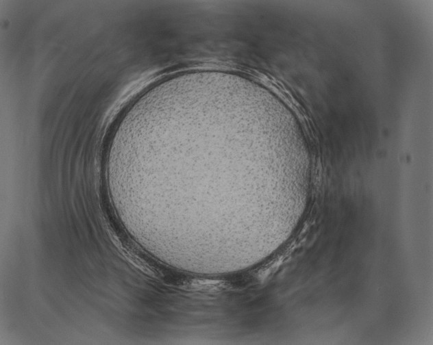 X0000087360055200705181202