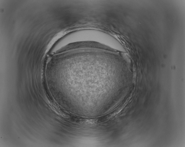 X0000087360056200705181202