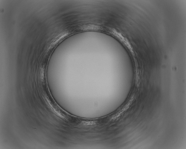 X0000087360057200705181202