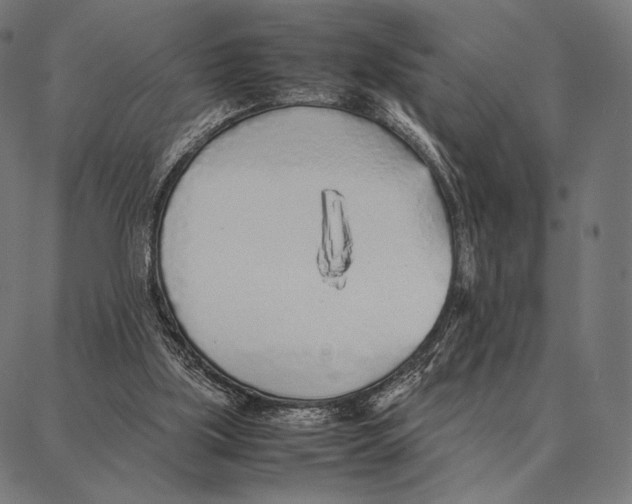 X0000087360059200705181202