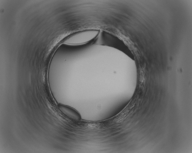 X0000087360060200705181202