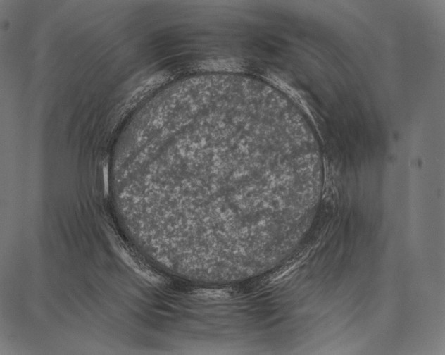 X0000087360061200705181202