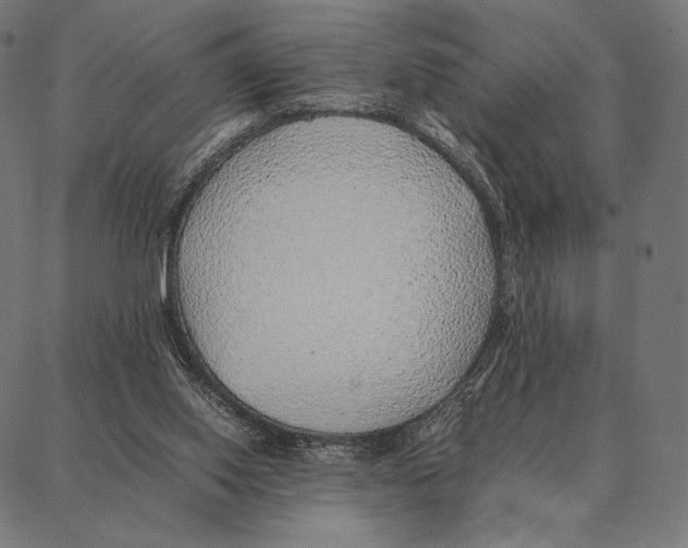 X0000087360062200705181202