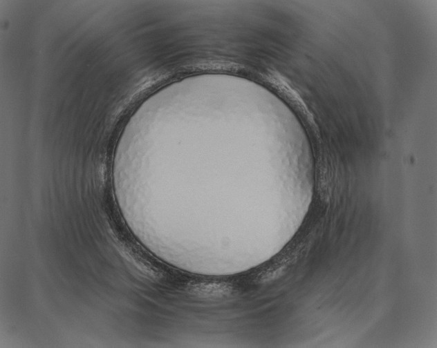 X0000087360063200705181202